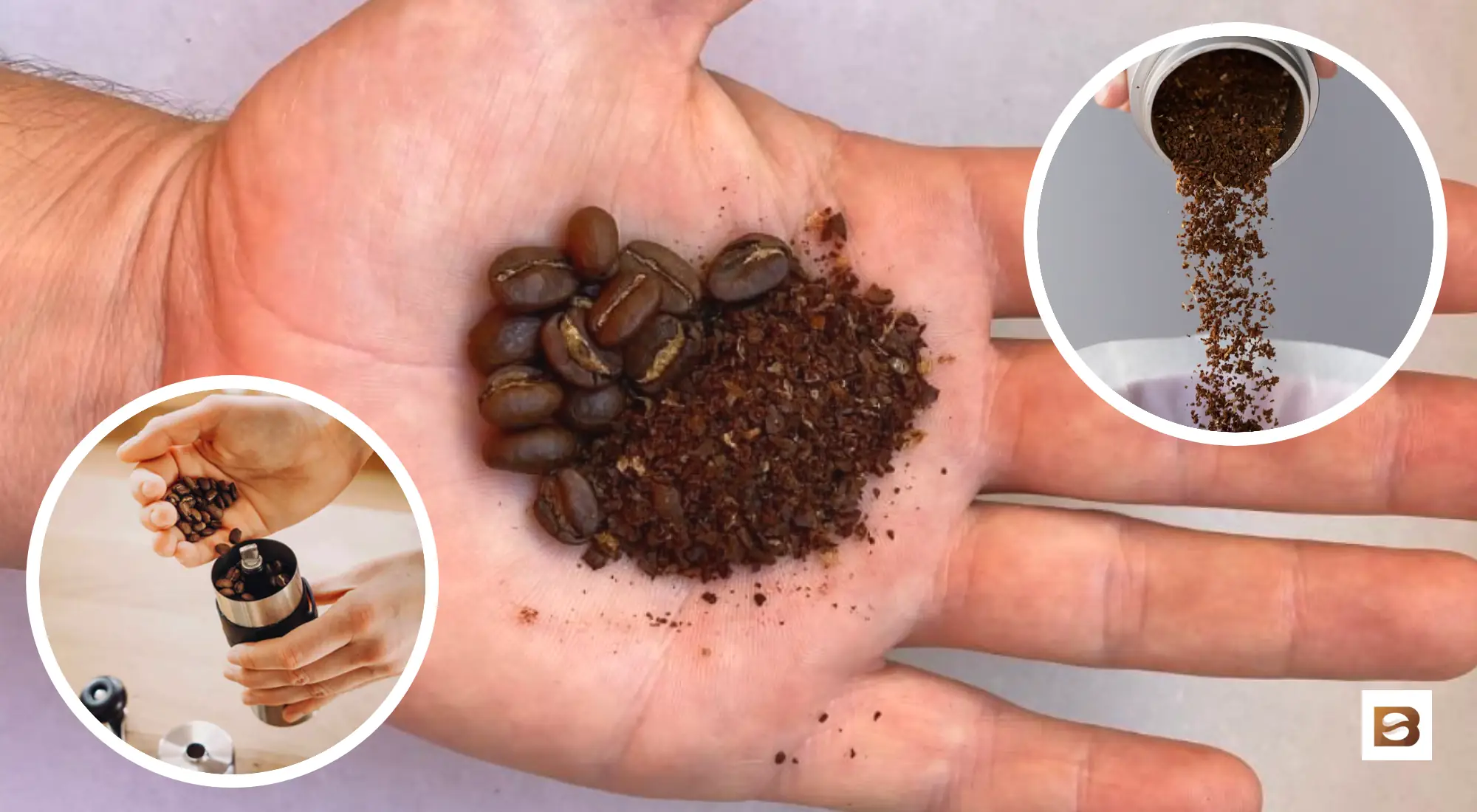 How To Grind Coffee Beans? (With Real Grind Size Images) • Bean Ground