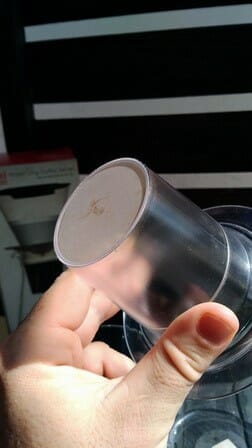 Iwaki filter section
