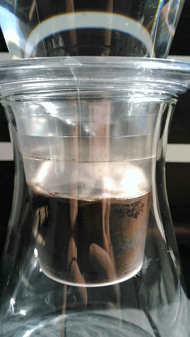Iwaki drip rate