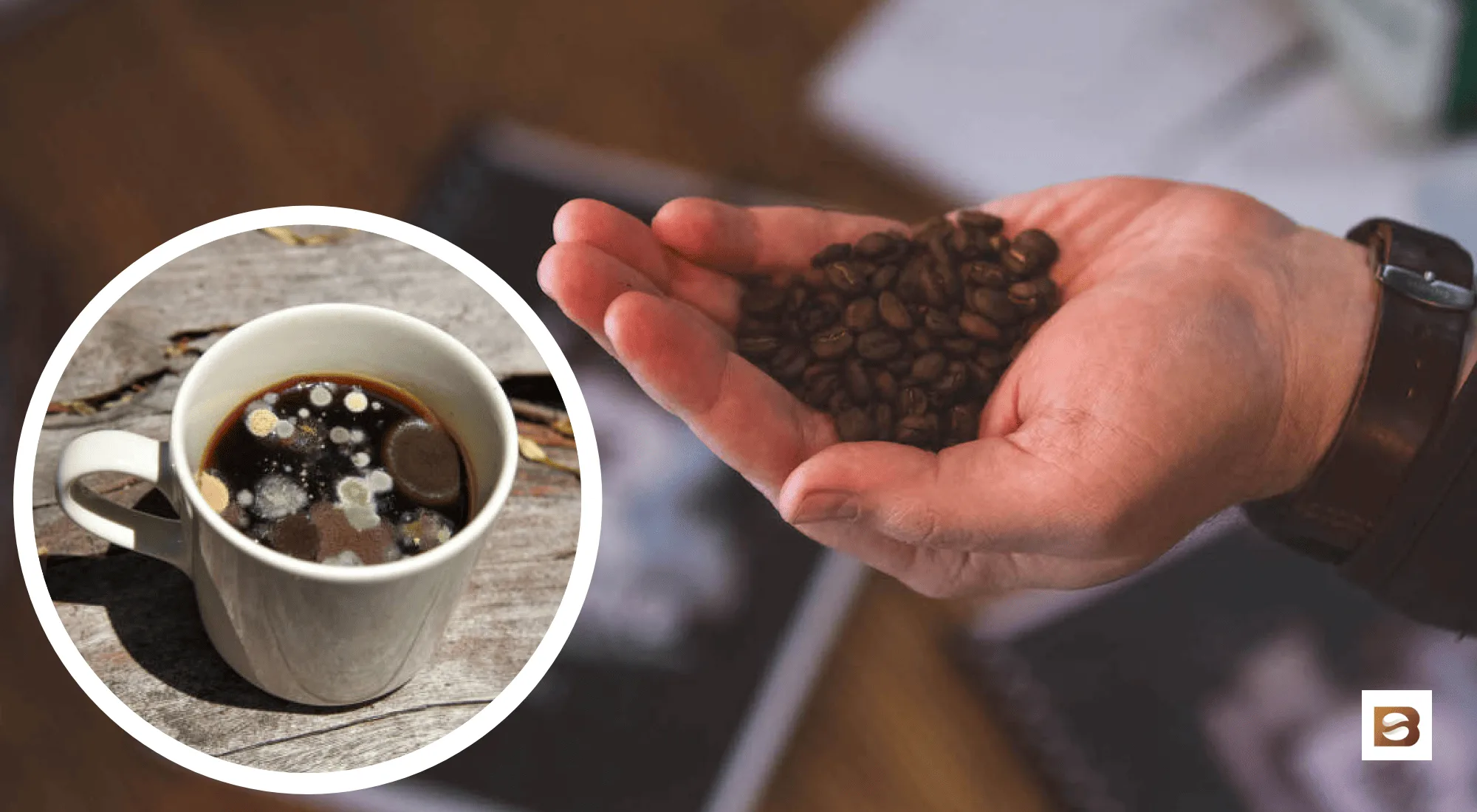 Embarking on Coffee Cupping A Beginner’s Handbook • Bean Ground