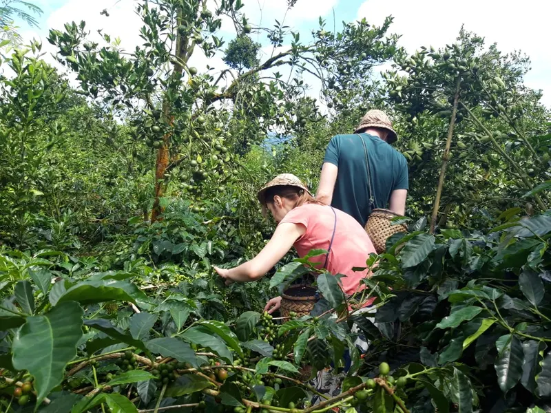 Mark Morphew at a local coffee plantation in the Philippines