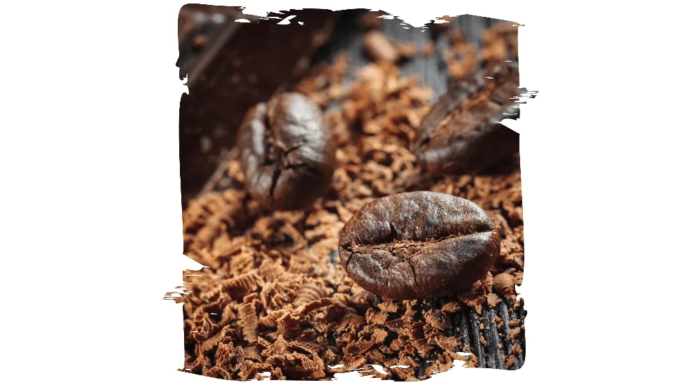 grind your coffee beans