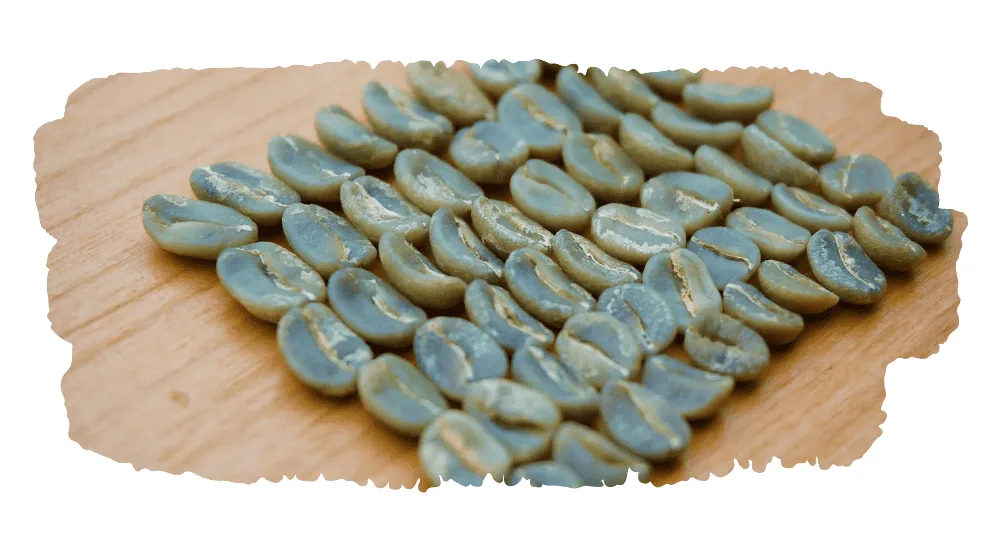 ethiopian coffee green coffee