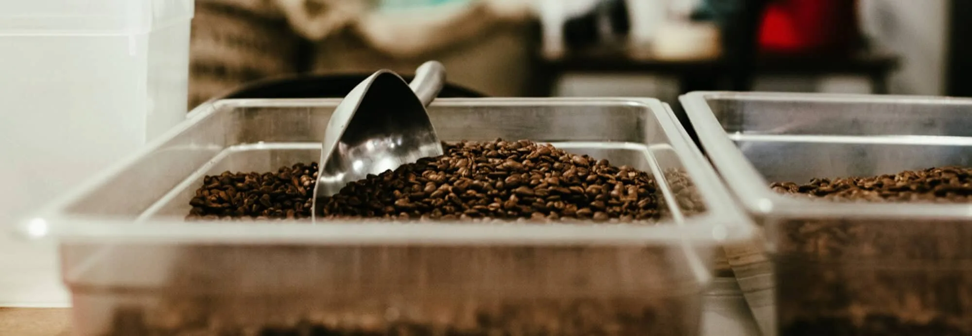 coffee that was roasted