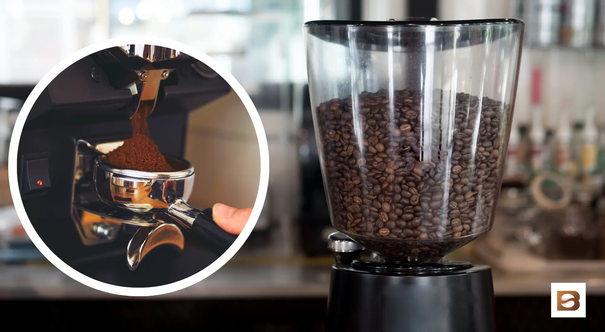 Best Single Dose Grinders For Perfect Espresso Brewing